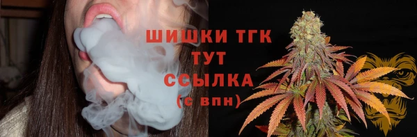 соль курить ск Бородино